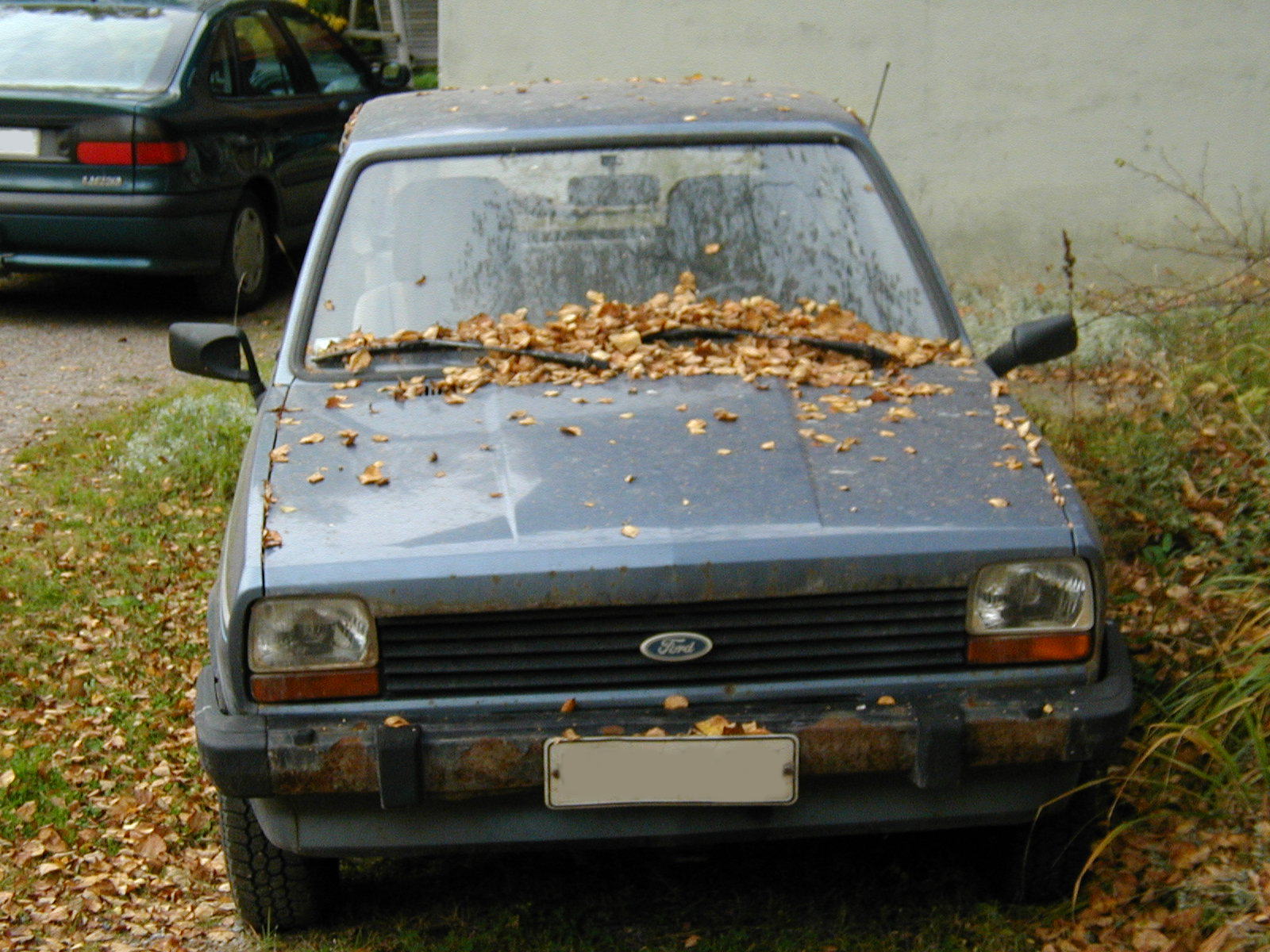 Picture of a poor little Fiesta before taking it to dump