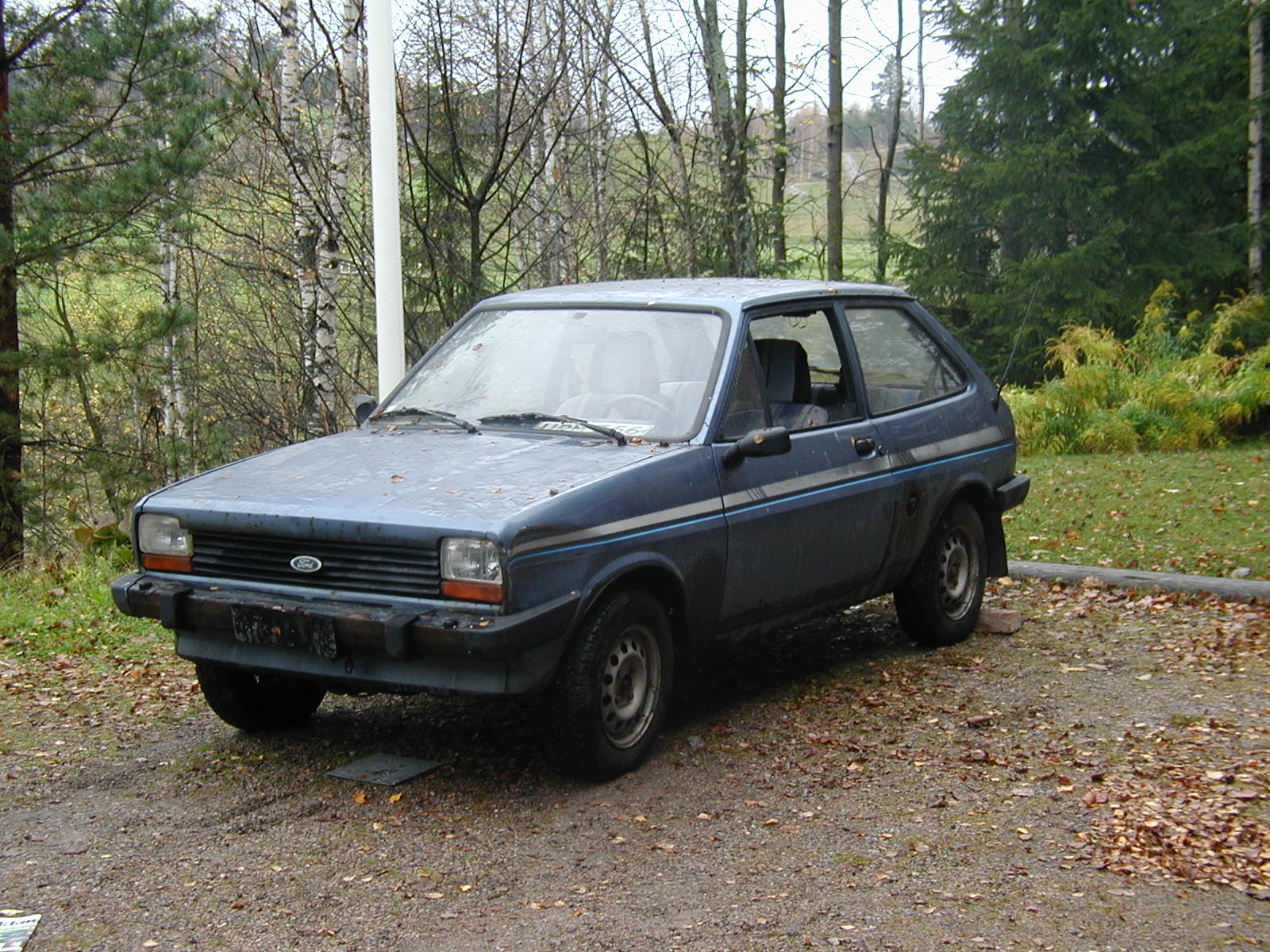 Picture of a poor little Fiesta before taking it to dump
